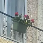 بيت ضيافة Avenue 3*