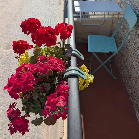 Avenue Penzion Apúlia