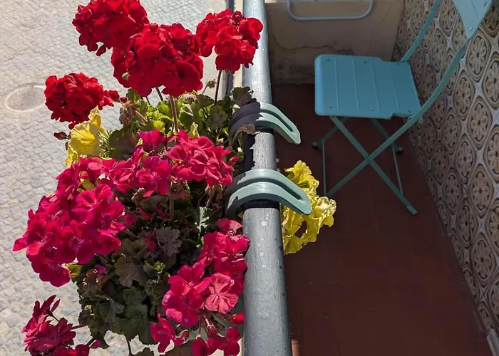 Avenue Pensionat Apúlia